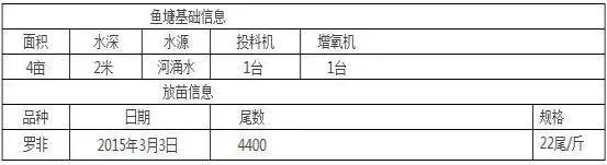 同苗同料养出来的罗非鱼差异显著？合理投喂是关键！