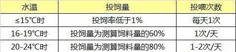 北风那个吹啊，草鱼冬季投喂技巧收好不谢