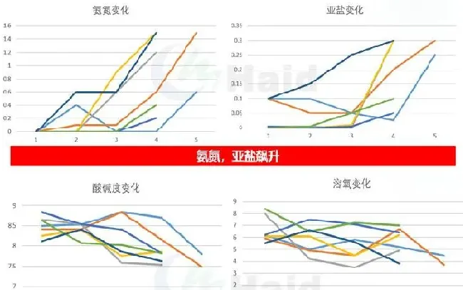 南美白对虾+非洲斑节对虾两造虾模式，让养殖稳定盈利！“黑”金刚苗期攻略，请收好！