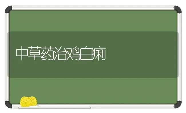 中草药治鸡白痢 | 养殖病虫害防治