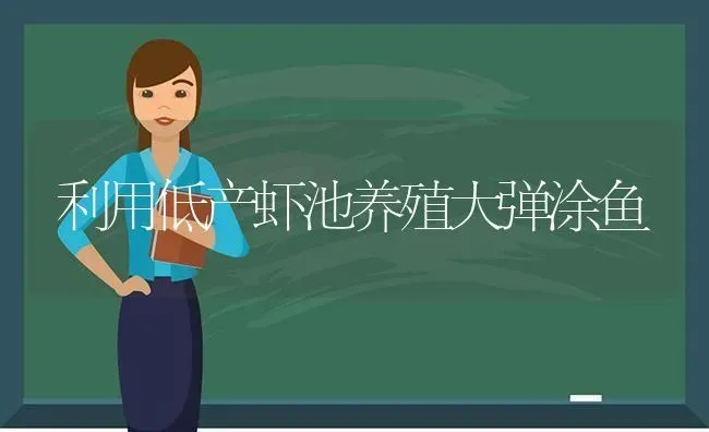 利用低产虾池养殖大弹涂鱼 | 动物养殖百科