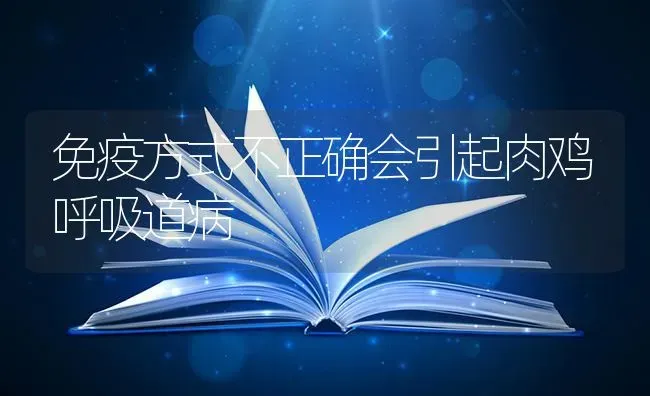 免疫方式不正确会引起肉鸡呼吸道病 | 家禽养殖
