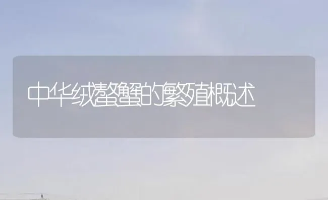 中华绒螯蟹的繁殖概述 | 淡水养殖
