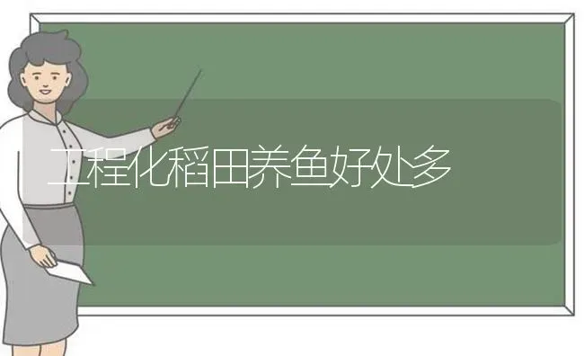 工程化稻田养鱼好处多 | 动物养殖百科