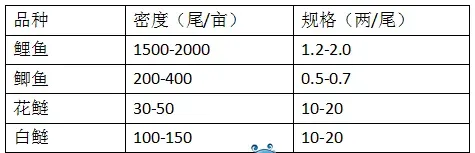 辽宁营口鲤鱼养殖户于文光养低成本鱼也能打胜仗