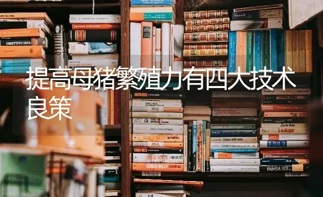 提高母猪繁殖力有四大技术良策 | 家畜养殖