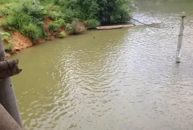 水质浑瘦花白鲢鱼生长速度慢的原因分析和处理方法