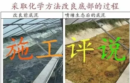 那种南美白对虾养殖模式，成功率肯定高！