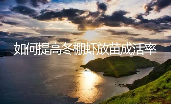 如何提高冬棚虾放苗成活率 | 海水养殖