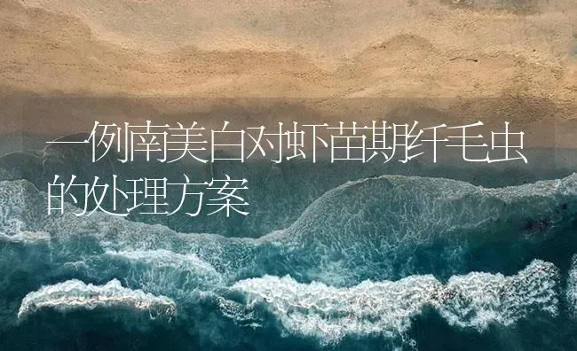 一例南美白对虾苗期纤毛虫的处理方案 | 海水养殖