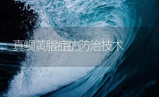 真鲷黄脂症的防治技术 | 海水养殖