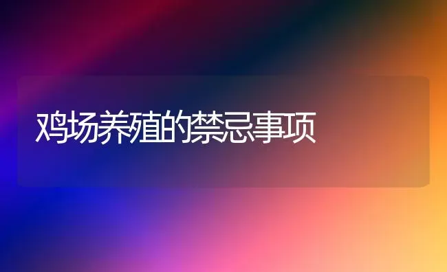 鸡场养殖的禁忌事项 | 家禽养殖