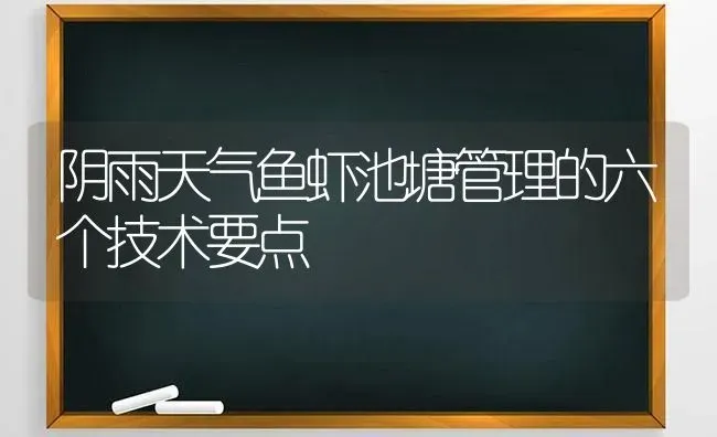 阴雨天气鱼虾池塘管理的六个技术要点 | 动物养殖百科