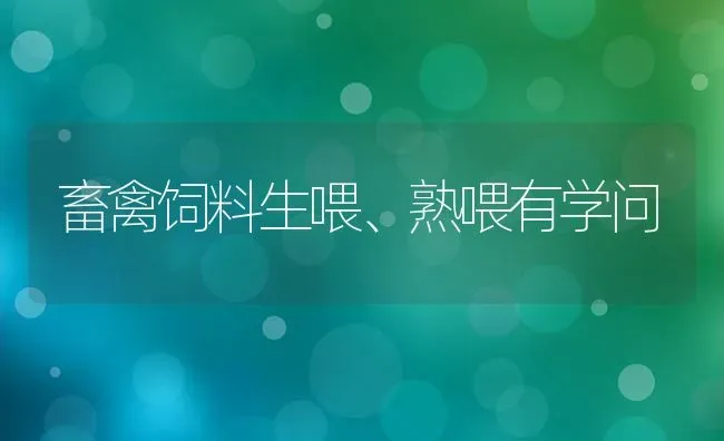 畜禽饲料生喂、熟喂有学问 | 动物养殖饲料