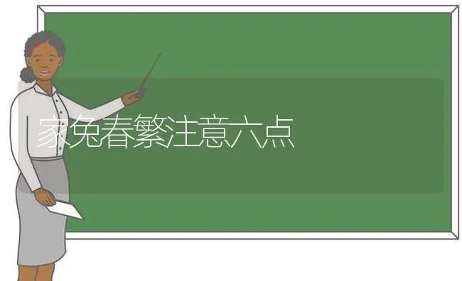 家兔春繁注意六点 | 家畜养殖