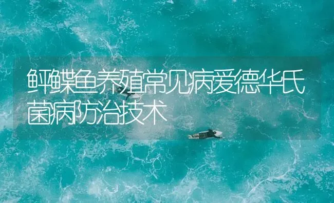 鲆鲽鱼养殖常见病爱德华氏菌病防治技术 | 海水养殖