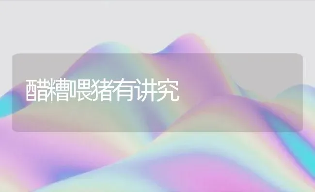 醋糟喂猪有讲究 | 家畜养殖