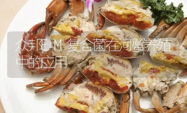 众邦EM复合菌在河蟹养殖中的应用 | 淡水养殖