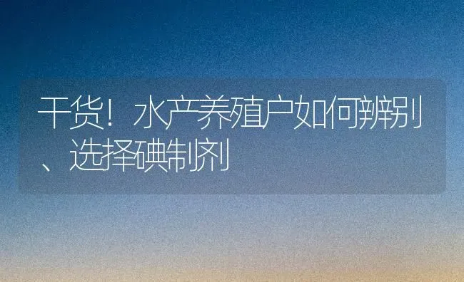 干货！水产养殖户如何辨别、选择碘制剂 | 养殖病虫害防治