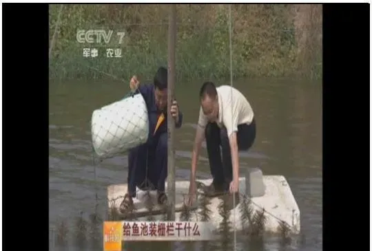 江兴龙教授谈池塘生物膜低碳养殖技术