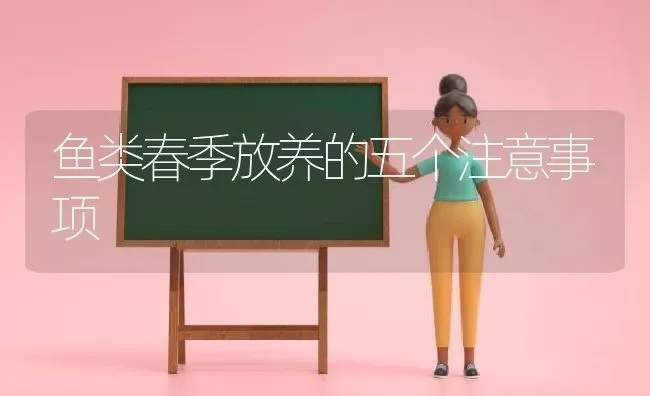 鱼类春季放养的五个注意事项 | 动物养殖百科