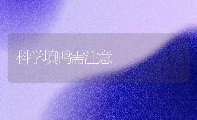 科学填鸭需注意 | 家禽养殖