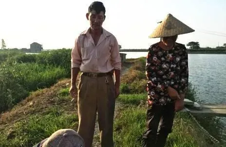 有益菌的使用，有望实现鳊鱼养殖“零抗生素费用”