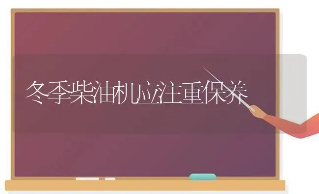 饲喂家兔须“七看” | 家畜养殖