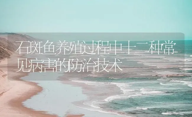 石斑鱼养殖过程中十二种常见病害的防治技术 | 海水养殖