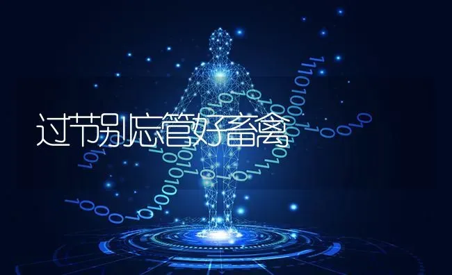 过节别忘管好畜禽 | 家禽养殖