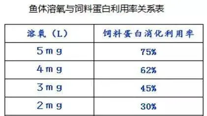 青鱼冬季育肥难？天邦全熟化沉性料突破养殖难关