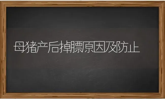 母猪产后掉膘原因及防止 | 家畜养殖