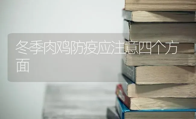 冬季肉鸡防疫应注意四个方面 | 家禽养殖