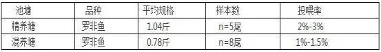 同苗同料养出来的罗非鱼差异显著？合理投喂是关键！