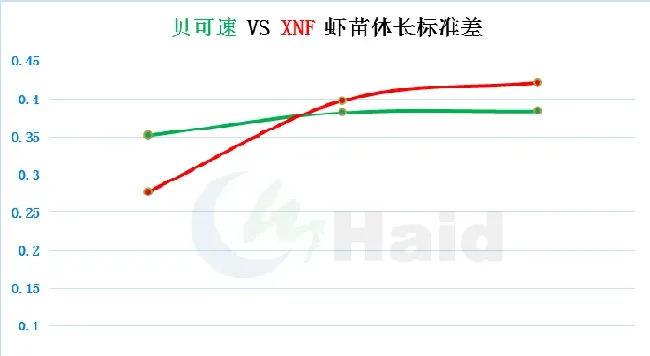 南美白对虾+非洲斑节对虾两造虾模式，让养殖稳定盈利！“黑”金刚苗期攻略，请收好！