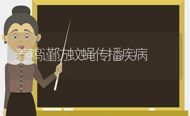 养鸡谨防蚊蝇传播疾病 | 家禽养殖