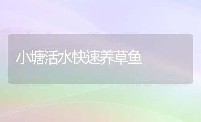 小塘活水快速养草鱼 | 淡水养殖