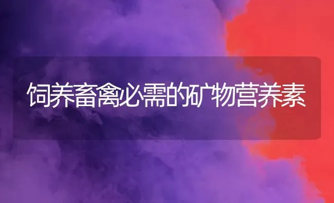 饲养畜禽必需的矿物营养素 | 家禽养殖