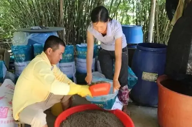 百分百成活率是怎样炼成的：广西合浦县对虾养殖户有话说