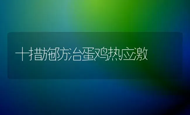 十措施防治蛋鸡热应激 | 家禽养殖