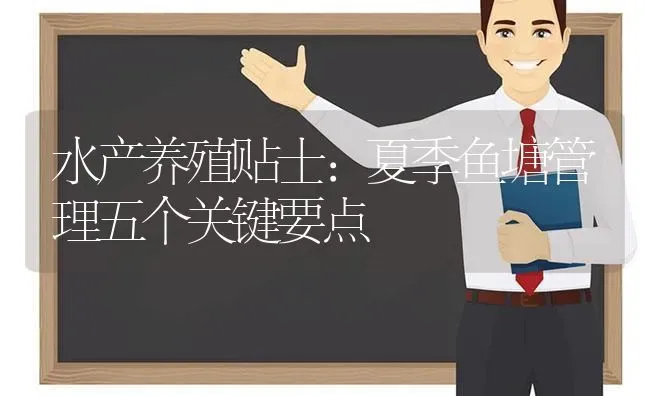 水产养殖贴士：夏季鱼塘管理五个关键要点 | 动物养殖百科
