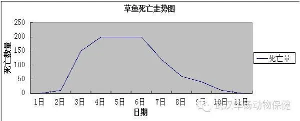 一例草鱼病毒性出血病的处理过程中的小经验总结