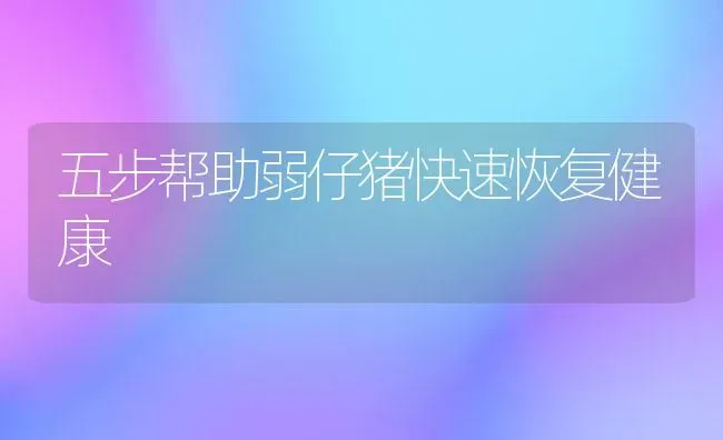 五步帮助弱仔猪快速恢复健康 | 家畜养殖