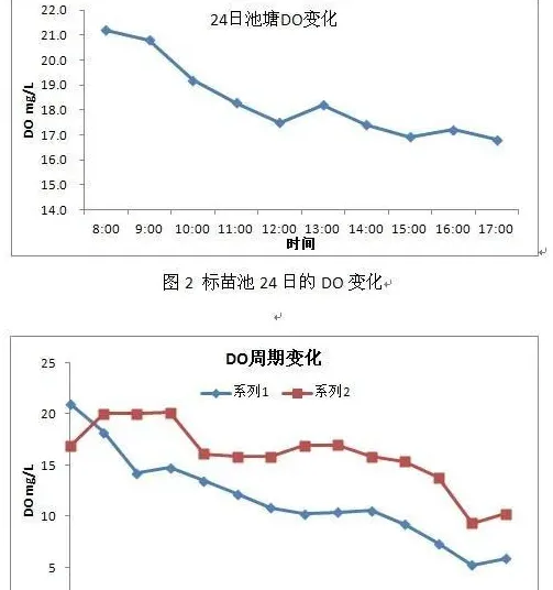 一例罗非鱼气泡病的诊断及处理措施