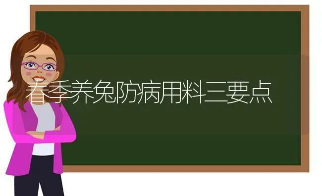 春季养兔防病用料三要点 | 家畜养殖