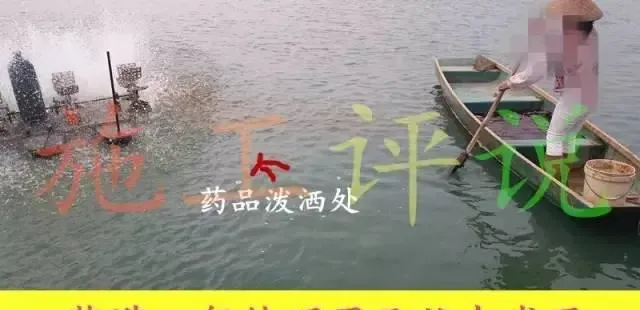 那种南美白对虾养殖模式，成功率肯定高！