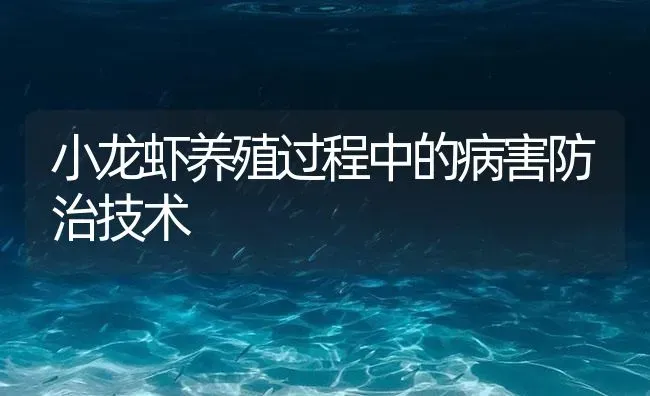 小龙虾养殖过程中的病害防治技术 | 海水养殖