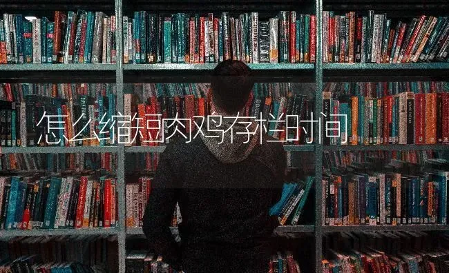 怎么缩短肉鸡存栏时间 | 家禽养殖