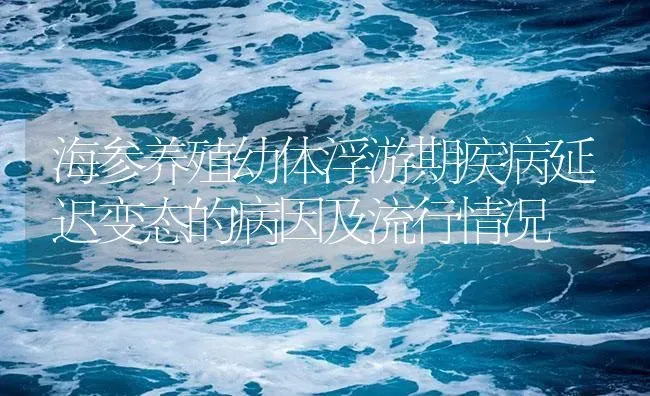 海参养殖幼体浮游期疾病延迟变态的病因及流行情况 | 海水养殖