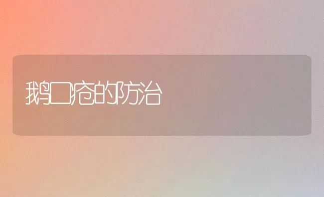 鹅口疮的防治 | 家禽养殖